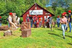 IMG-20240707-WA0049
