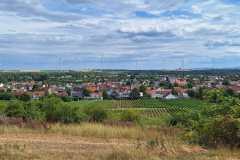 IMG-20250712-WA0037