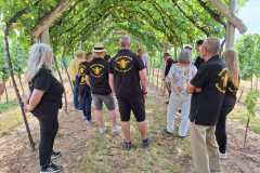 IMG-20250712-WA0038