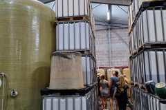 IMG-20250712-WA0042