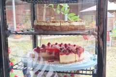 IMG-20240706-WA0008