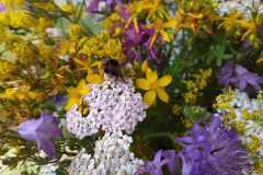 IMG-20240706-WA0018
